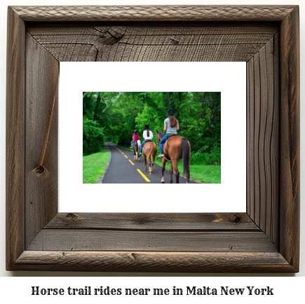 horse trail rides near me in Malta, New York